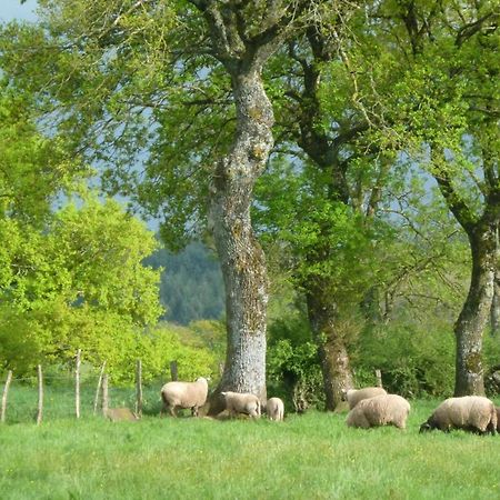 Barrais-Bussolles Maison De Campagne Ideale Pour Familles, Cavaliers, Animaux Acceptes, Avec Jardin Clos Et Tout Equipe. - Fr-1-489-172 빌라 외부 사진